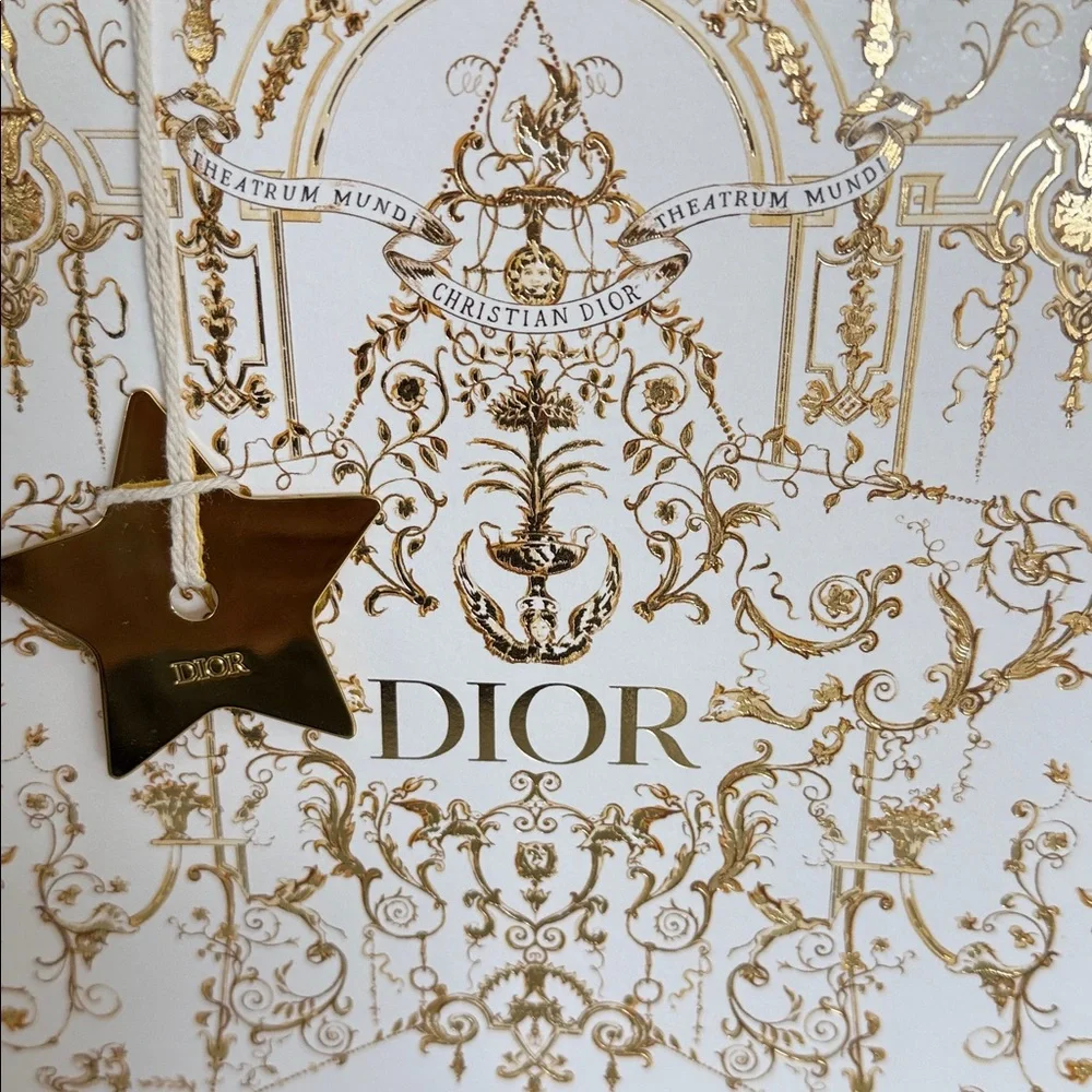 Dior Gift Bag